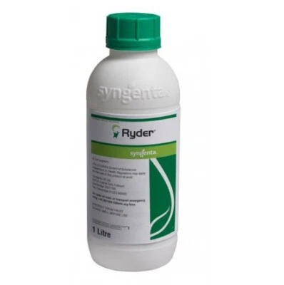 Ryder Syngenta Colorante Pigmento per Prato Tappeti Erbosi 1 Litro