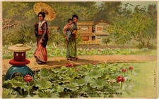 PC CPA Un Champ de Nenuphars LITHO ad pub Chaussures RAOUL JAPAN (a14661)