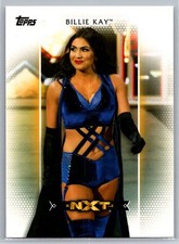 2017 Topps WWE Women's Division #R-3 Billie Kay