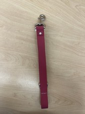 Waterproof Silicone Leash For Dogs 4 FT  Colour: Raspberry 