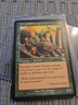Sylvan Safekeeper Judgment Regular
