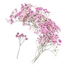 100 PCS Pink Dried Babys Breath Flowers Mini Pressed Craft Resin Candle