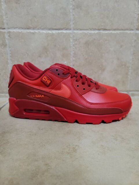 Size 10 - Nike Air Max 90 City Special - Chicago 2021 for sale 
