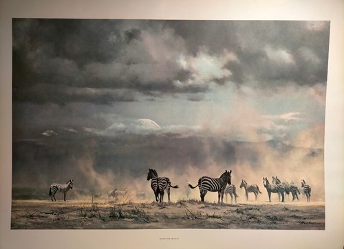 Vintage David Shepherd 1962 print Storm over Amboseli Zebras retro - Picture 1 of 3