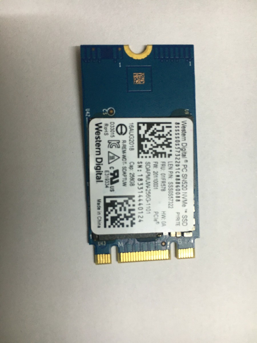 Ssd 128gb Western Digital WD 128GB SSD PC SN520 M.2 2230 30mm PCIe Gen3 X2 NVMe SDAPTUW-128G Unità A Stato Solido Per Dell HP Lenovo Laptop Desktop Ultrabook Kiosk POS MFP IoT