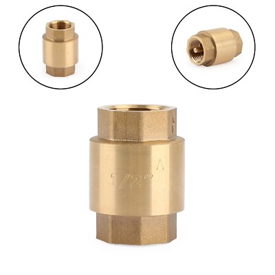 Clapet Anti-retour Flowrite II 593 - Occasion, Modèle 593-SS100NCS460S