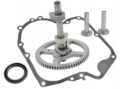 Nockenwelle für Briggs & Stratton 10,5-19PS Modelle 21 28 31 33 INTEK OHV AVS