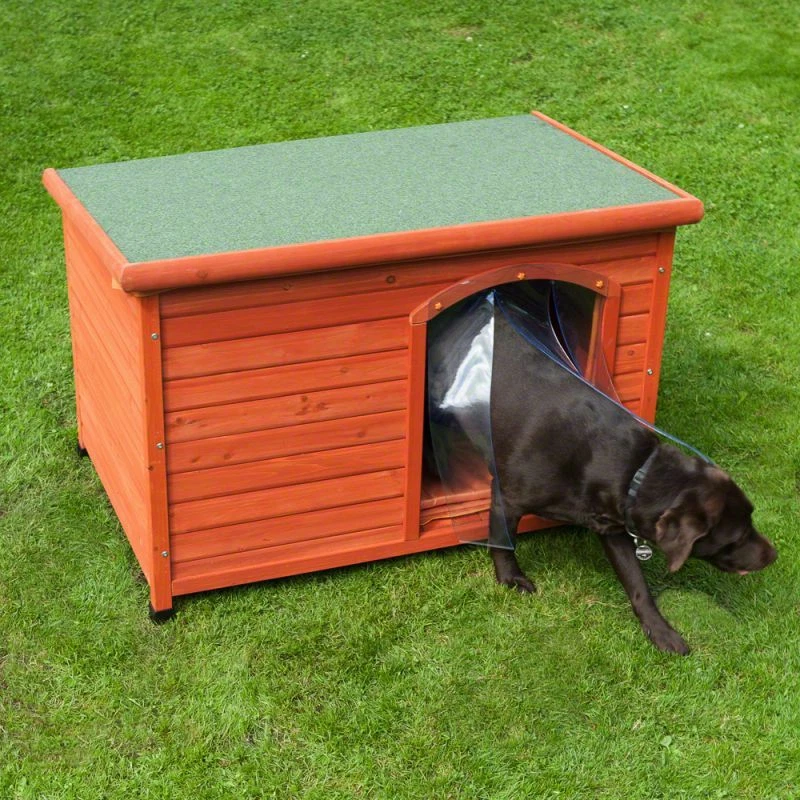 Pinewood kennels cheap