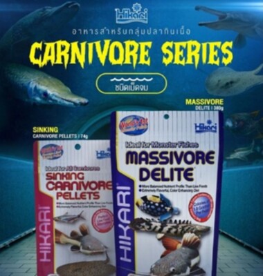 Hikari Massivore Delite Large Carnivore Pellet Sinking Stingray Monster Fish Foo