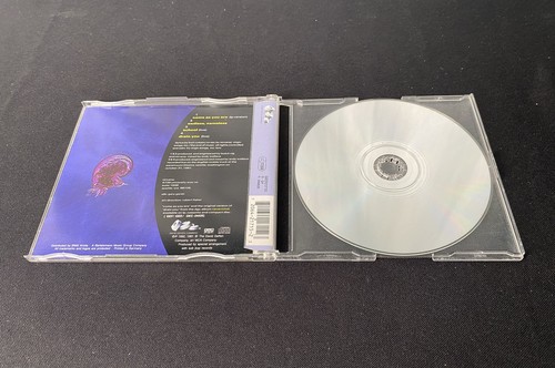Nirvana 5 CD Rare Import Lot In Bloom All Apologies Come As You Are Teen Spirit - Imagen 13 de 13