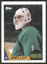 1987-88 Topps #152 Mike Liut Hartford Whalers 46969
