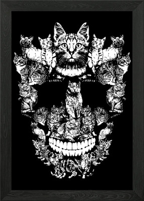 Gerahmtes Wandbild Katzenschädel Poster Leinwanddruck Bild