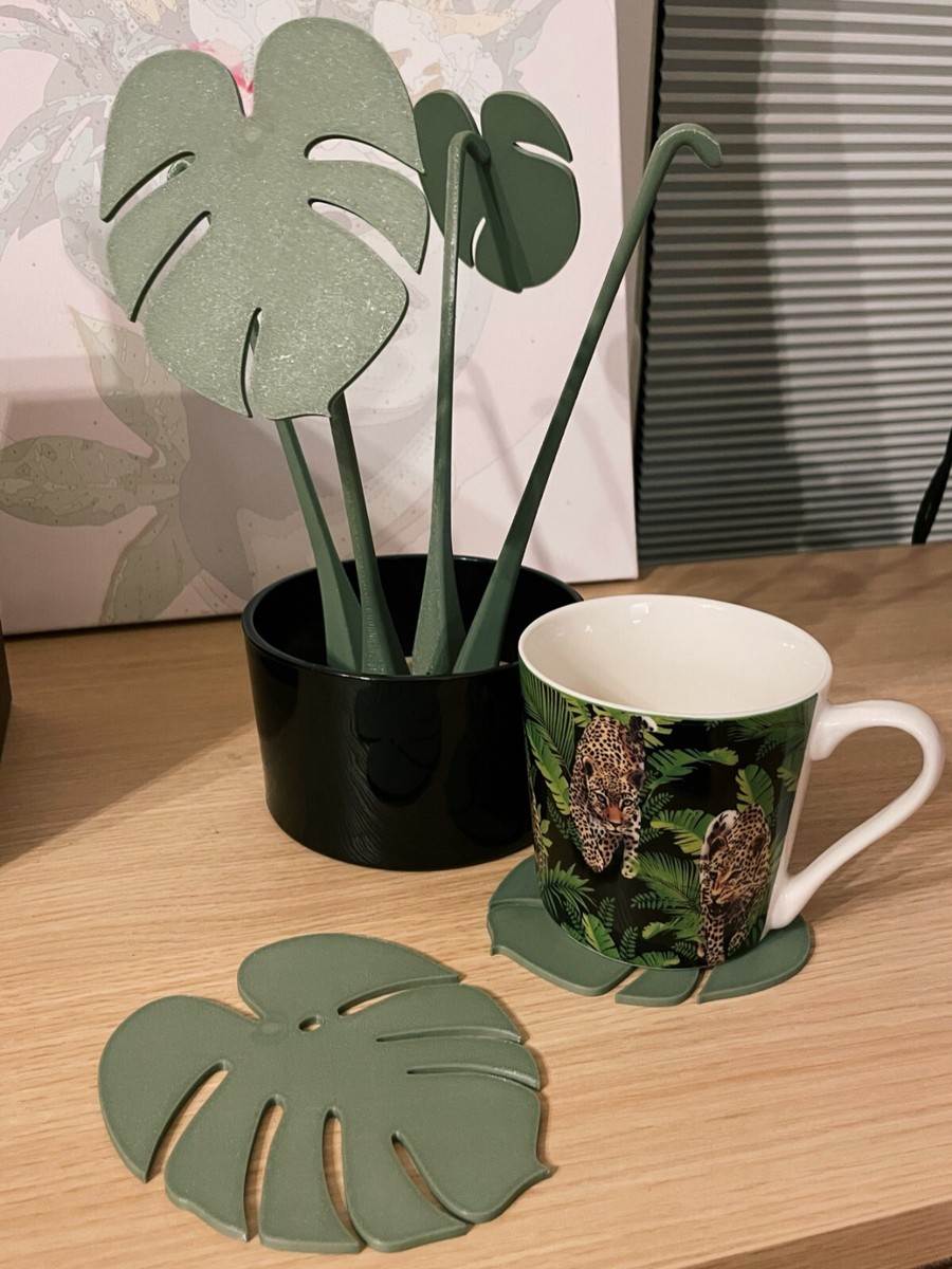 Monstera Coaster Plant | eBay