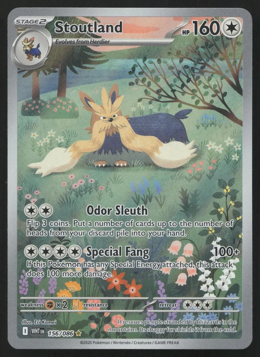 Stoutland Pokémon TCG Cards for sale