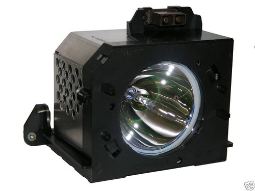 New Philips Lamp/Bulb/Housing for Samsung BP96-00224A BP96-00224B FREE PRIORITY! - 第 1/1 張圖片