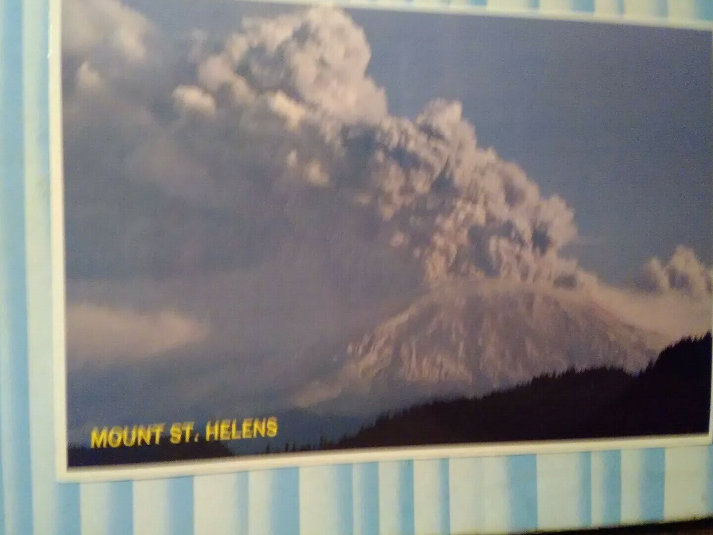Picture 7 of 12