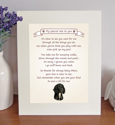 working cocker spaniel gifts