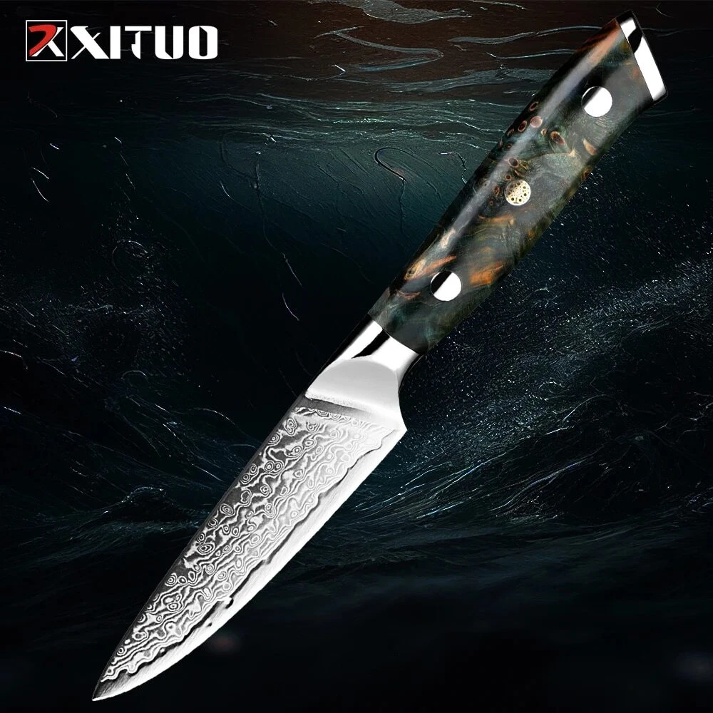 Paring knife 3.5inch sharp fruit utility knife-Japanese VG-10 super steel