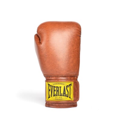 Everlast 1910 Classic Boxing Gloves hook & loop sparring/Training