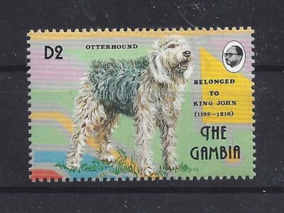 Dog Art Body Portrait Postage Stamp OTTERHOUND OTTER HOUND The Gambia MNH