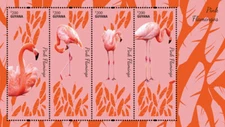 Guyana 2014 - Pink Flamingos Birds - Sheet Of 4 Stamps - Scott #4303 - MNH