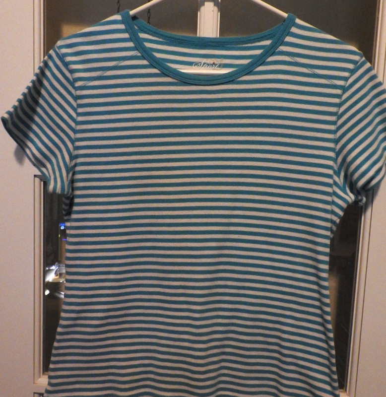 Style & Co Women's Lg Shirt T-Top 100% Cotton Scoop-Neck SS Aqua Blue/Wh Stripe
