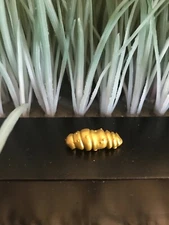 The Ugglys Pet Shop - Golden Poop (a)