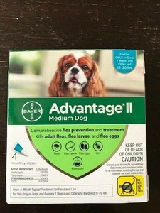 advantage ii medium dog