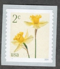 US. 5903. 2c. Daffodils. Coil Single. MNH. 2024