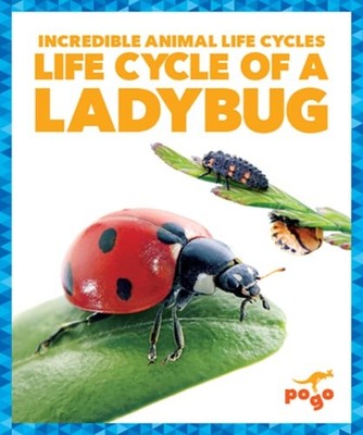 Life Cycle of a Ladybug by Karen Kenney: New