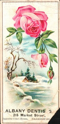 Dr. J.W. Joslyn Albany Dentists Harrisburg PA Advertising Trade Card VTC Dauphin