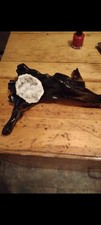 Walnut Driftwood Art Natural Wood With Geode. 10 in by 10 in by 5 in