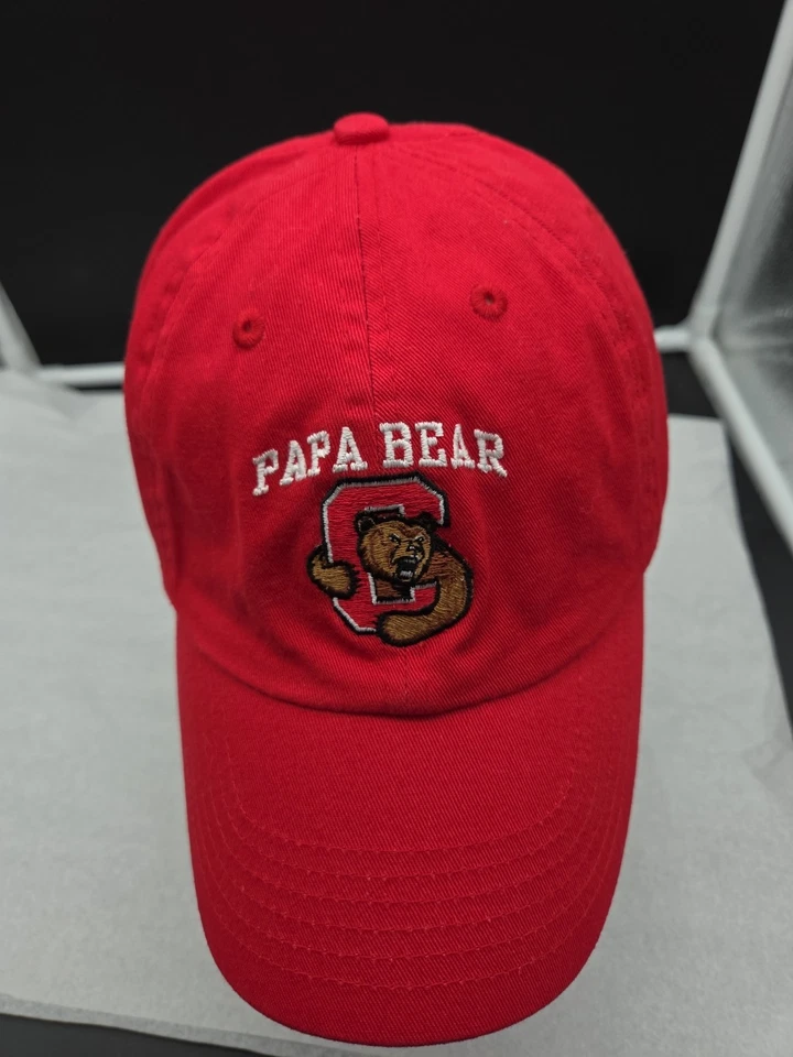 Cornell University Big Red  Cap Hat Adj Dad  Hat Bear Ivy League NCAA - Image 4 of 4