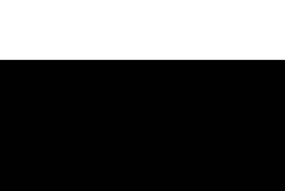 Ram Status MK V #2 Iron / Regular Flex Steel Shaft - Image 4 of 4