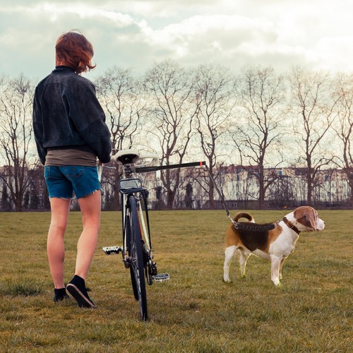 Free Dog Bicycle Exerciser Leash Hands Free Bicycle Dog Leash - Picture 7 of 7