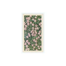 1964 Booke Bond Wild Flowers Series 3 Bog Pimpernel #45.0