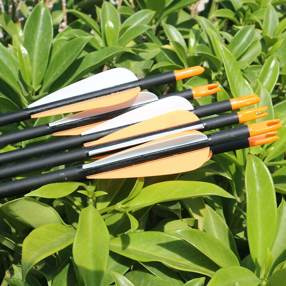 12件装30英寸碳箭SP 500射箭狩猎复合弓40-60磅 — 第 3/4 张图片