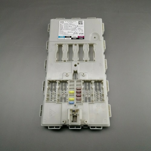Body domain controller bmw
