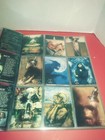 Bild 6 von 10