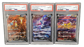 Pokemon Karte PSA 10 Entei 213 Suicune 215 Raikou 218 S12a SEQUENTIAL SET JAP