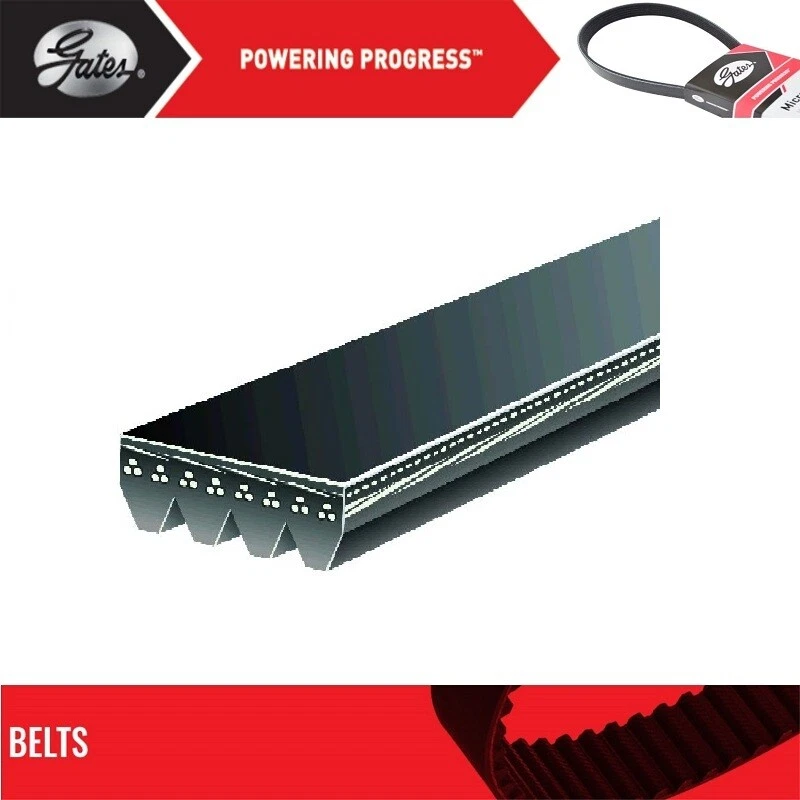 Gates Power Steering Belt For 1995-1998 ACURA TL L5-2.5L Foto 2 de 4