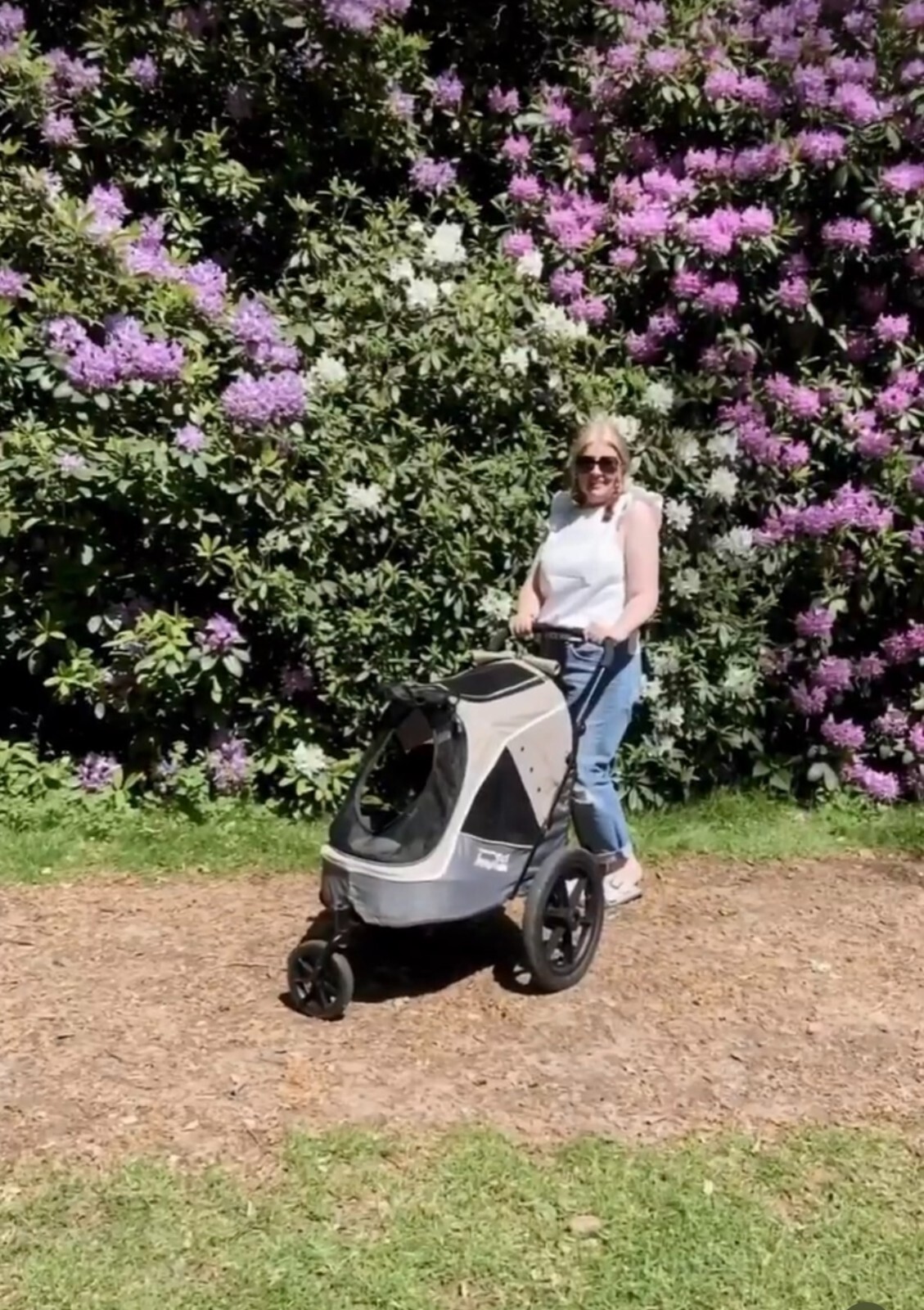 InnoPet Buggy Adventure Pet StrollerDog Pushchair Excellent Condition