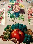 Foto 12 di 22