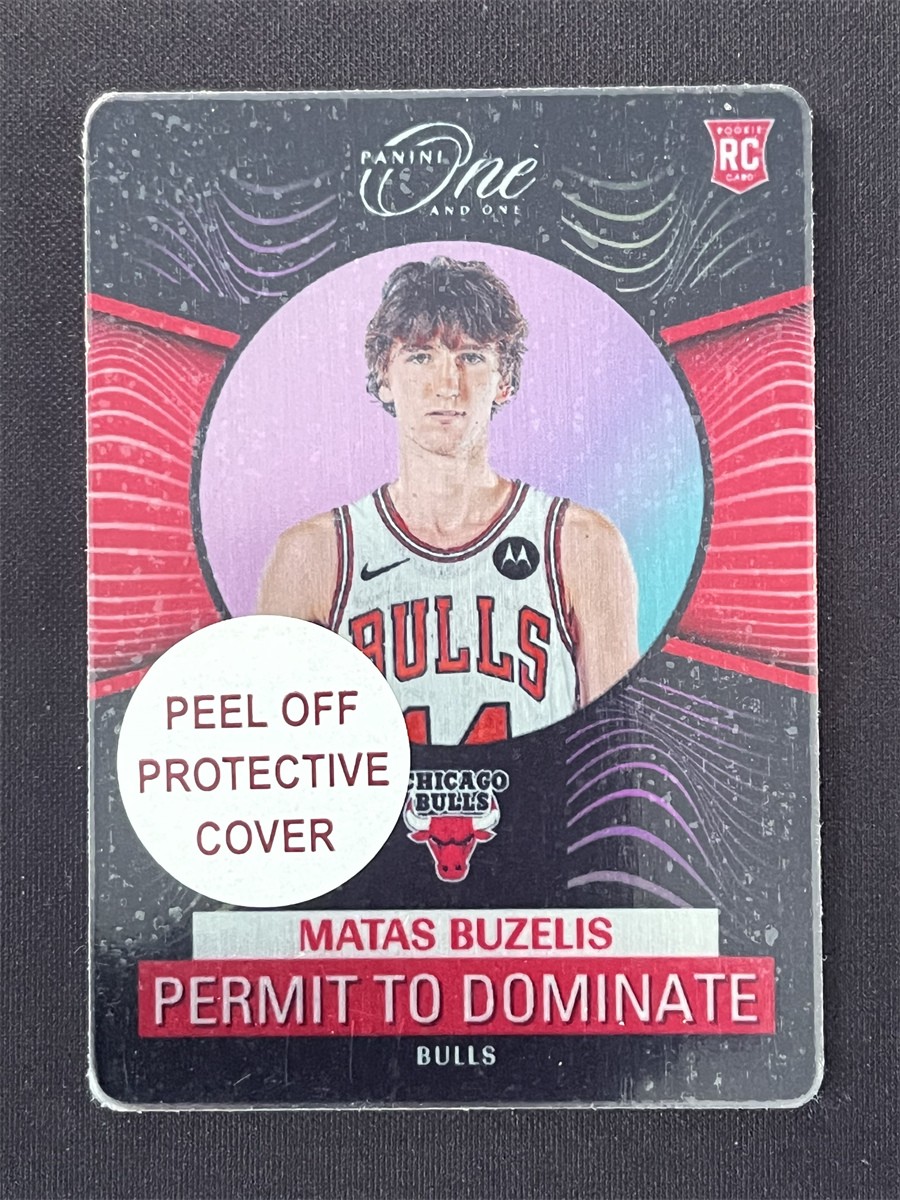 2024-25 One And One Matas Buzelis #3 Metal Permit To Dominate RC Case Hit SSP