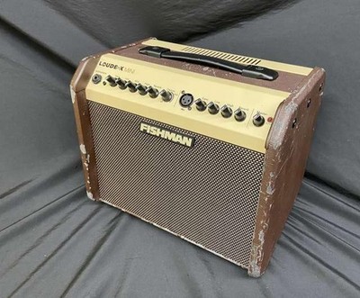 Fishman Loudbox Mini 120W Akustik Combo Verstärker - Top Zustand!