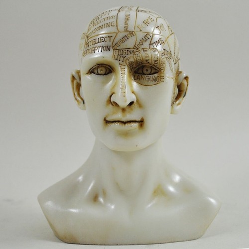 Phrenology Head Unique Ornament, Traditional Medical Accessory 15cm High (34080) - Bild 2 von 6