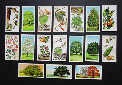 BROOKE BOND  17  VINTAGE 1966  TEA CARDS   TREES IN BRITAIN   SEE LISTING