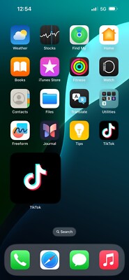 Tik Tok iPhone 15 Pro Max Natural Titanium