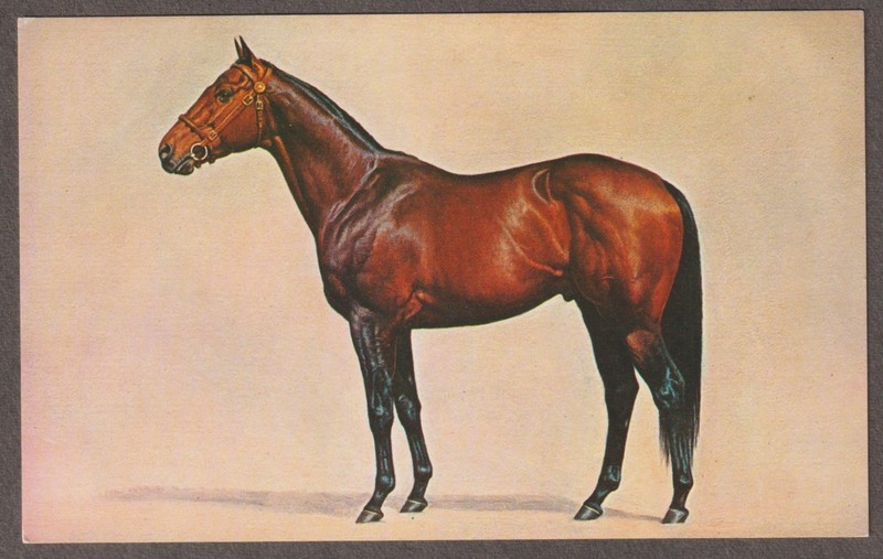 U.S. - MNH P.C. OF "GALLANT MAN" WINNER OF BELMONT STAKES -