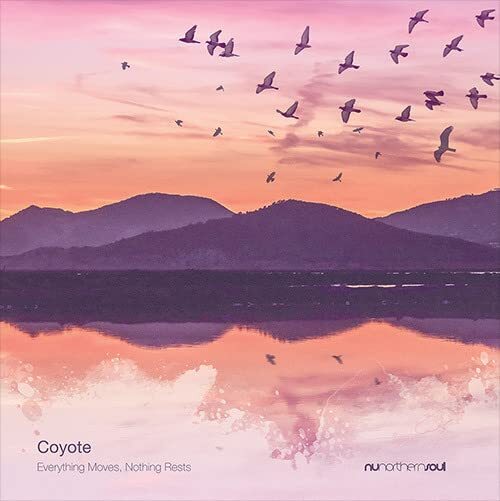 Coyote Everything Moves Nothing Rests (Vinyl LP)